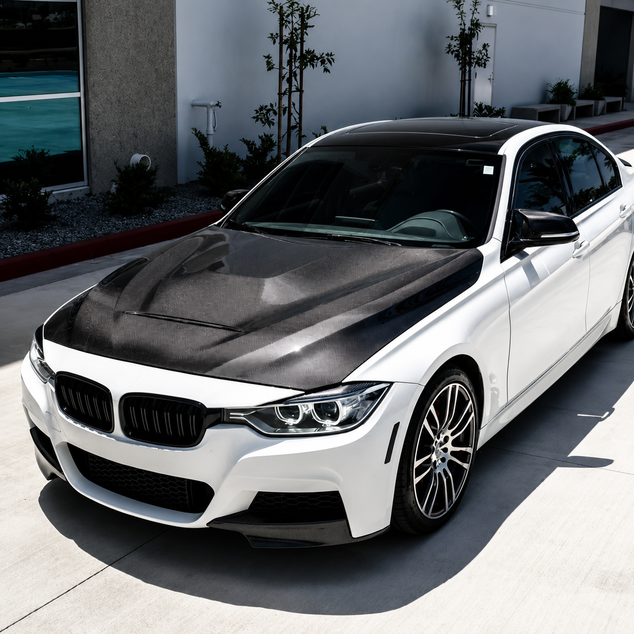 BAVORA GTS Carbon Fiber Hood